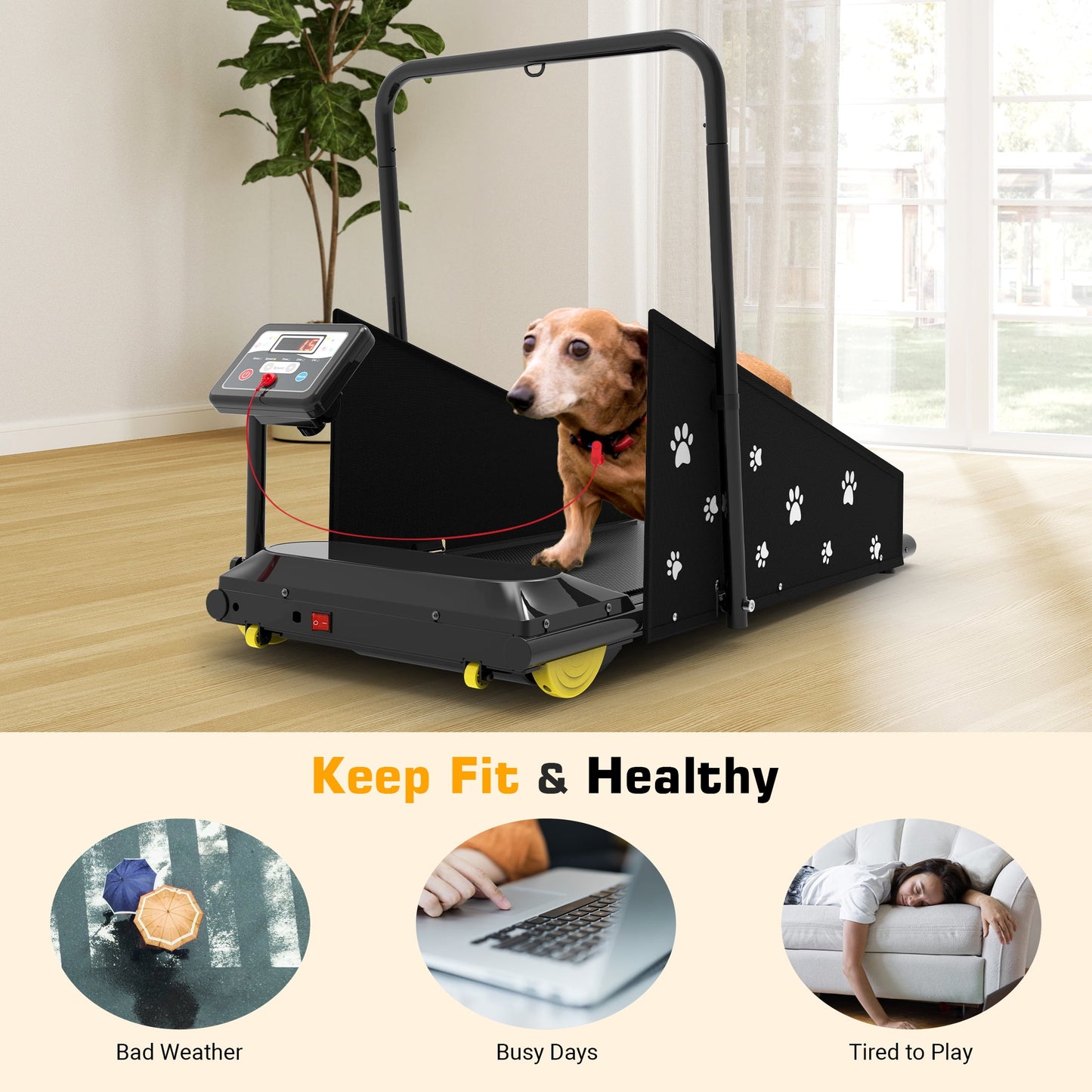 Dog Treadmill, Indoor Pet Fitness Machine for Small & Medium Dogs, 265LB Capacity, LCD Display & Remote