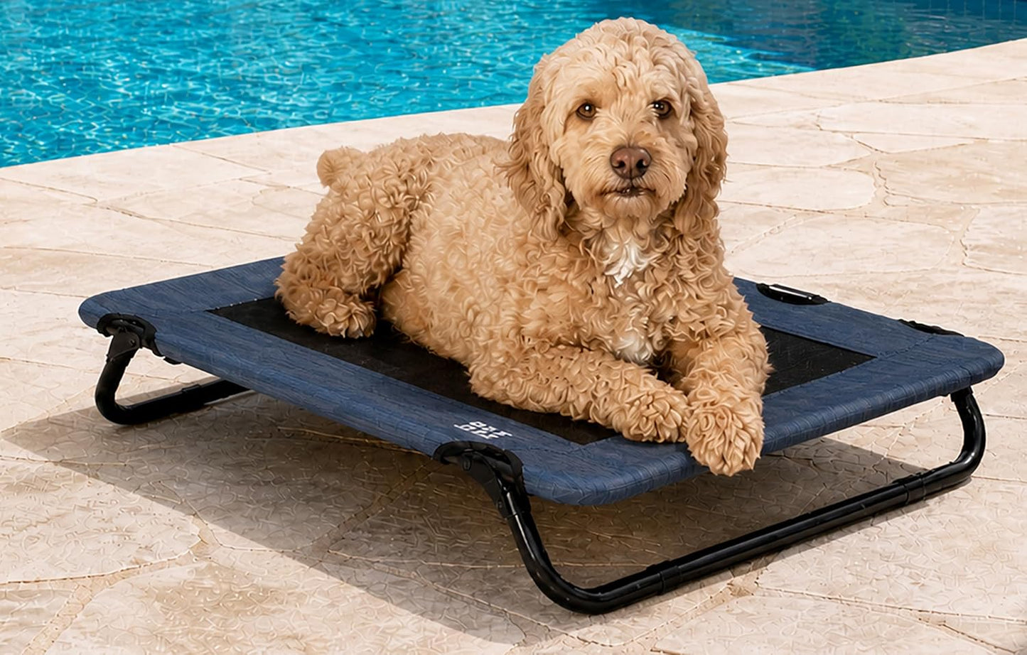 Lifestyle Pet Cot Elevated Bed, 30 Inch, Caribbean Ocean | No Assembly Required, Premium Tear Resistant Cooling Mesh, Indoor & Outdoor, Lightweight & Portable