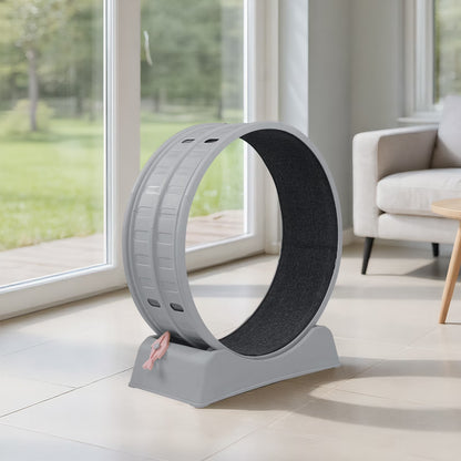 Cat Exercise Wheel 31.5In round Gray PP Treadmill Indoor Running Toy Silent Rollers Safety Lock Removable Carpet Scratch Pad Tool Free Assembly 14.3Lbs Sturdy Base Interactive Stick Pet Fitness Home