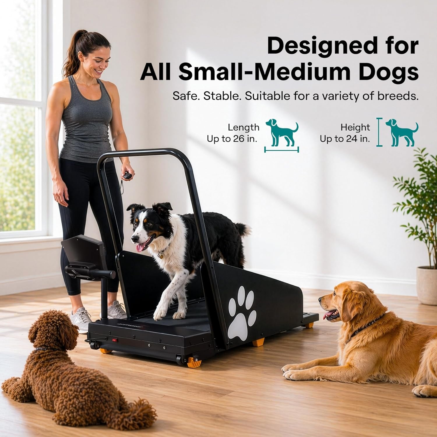 Foldable Dog Treadmill with Incline and Remote Control, Foldable Treadmill for Indoor Pet Exercise with Shock Absorbing Belt, Safety Key, LED Display, Quiet Motor, and 0.5-5 MPH Speed