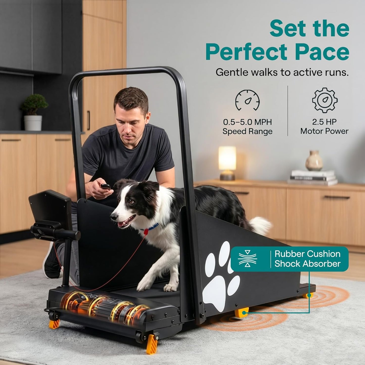Foldable Dog Treadmill with Incline and Remote Control, Foldable Treadmill for Indoor Pet Exercise with Shock Absorbing Belt, Safety Key, LED Display, Quiet Motor, and 0.5-5 MPH Speed
