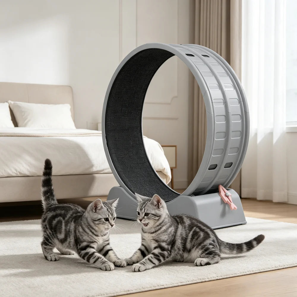 Cat Exercise Wheel 31.5In round Gray PP Treadmill Indoor Running Toy Silent Rollers Safety Lock Removable Carpet Scratch Pad Tool Free Assembly 14.3Lbs Sturdy Base Interactive Stick Pet Fitness Home