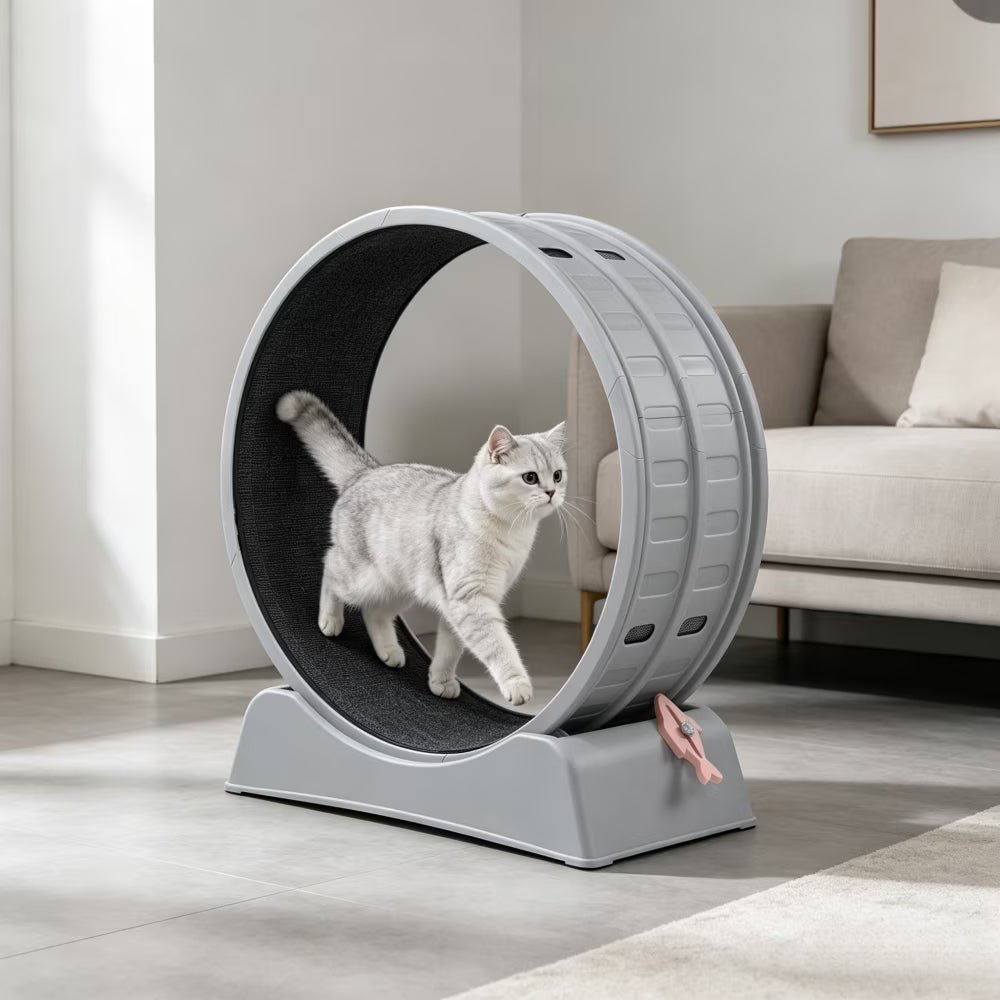 Cat Exercise Wheel 31.5In round Gray PP Treadmill Indoor Running Toy Silent Rollers Safety Lock Removable Carpet Scratch Pad Tool Free Assembly 14.3Lbs Sturdy Base Interactive Stick Pet Fitness Home