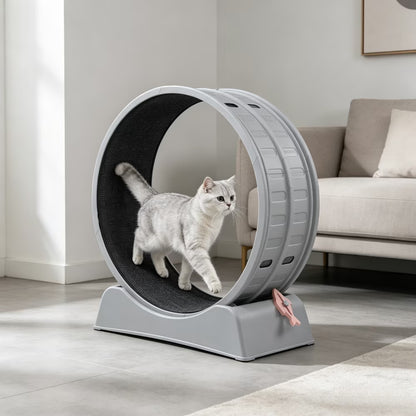 Cat Exercise Wheel 31.5In round Gray PP Treadmill Indoor Running Toy Silent Rollers Safety Lock Removable Carpet Scratch Pad Tool Free Assembly 14.3Lbs Sturdy Base Interactive Stick Pet Fitness Home