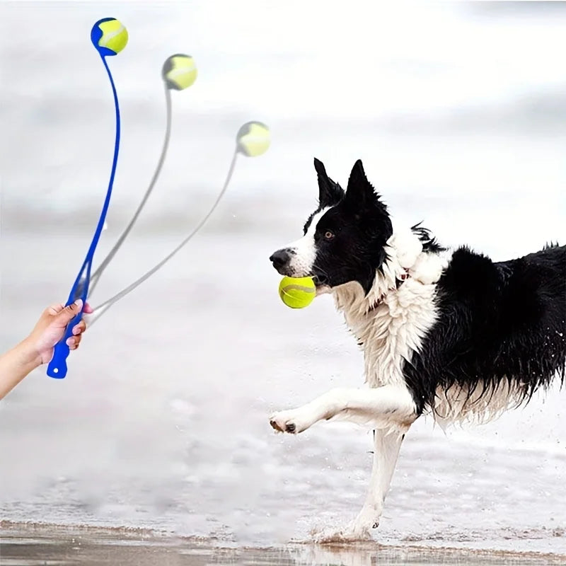 Pet Throwing Stick, Throwing Device, Throwing Toy Dog and Cat Interactive Ball Picking Pet Toy Training Toys Pet Supplies